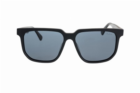 TARTUFO C3F.jpg